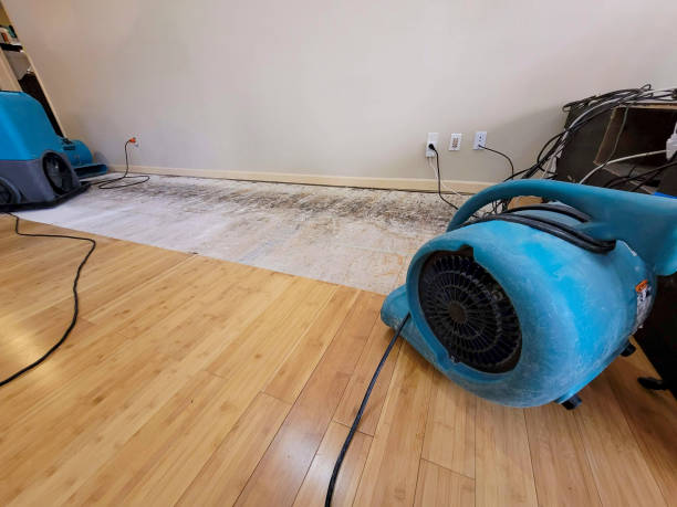 Professional Basement Flood Cleanup technician working in Sale Creek, TN